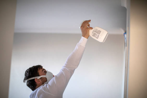 Best Black Mold Removal  in Fountain Inn, SC