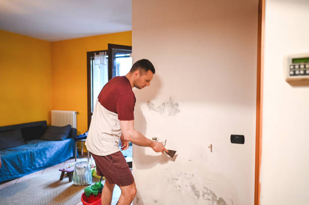 Fountain Inn, SC Mold Removal Company