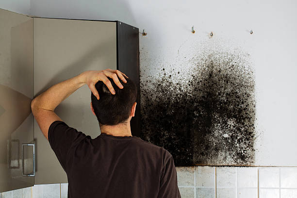 Best Emergency Mold Removal  in Fountain Inn, SC